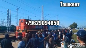 Питер - Ташкент поезд. Россия - Узбекистан поезд. Москва - Ташкент поезд. Россия Узбекистан грани