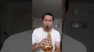 The Prayer - Curved Soprano sax cover by AndreG