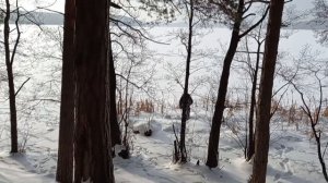 Съездили с папой на озеро Гурино зимой