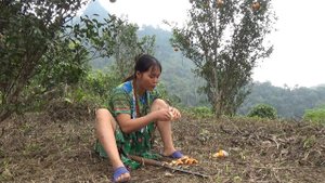 Primitive Life - Girl Alone Bushcraft Meet Forest People Wild Chicken - LIVING OFF GRID