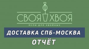 Отзыв о доставке растений из питомника СВОЯХВОЯ (СПб)