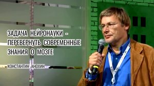 Обсуждение нейронауки. Константин Анохин