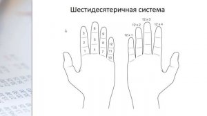 Происхождение цифр - история систем исчисления