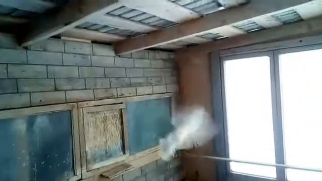 15 января 2020 г. смотреть онлайн