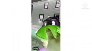 donald duck tree effects