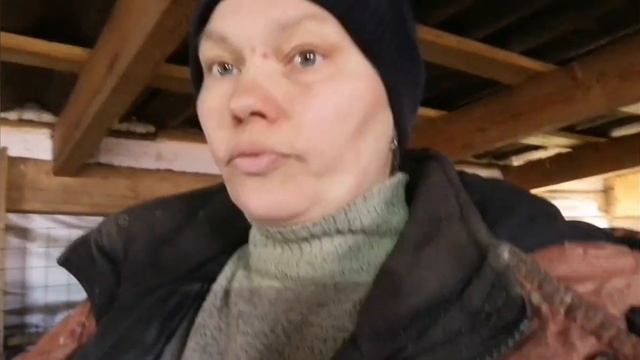 Как мы корову покупали! смотреть онлайн