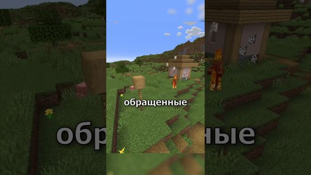 Заброшенная деревня жителей, Насколько она редка!!  #майнкрафт #minecraft #редкий #деревня