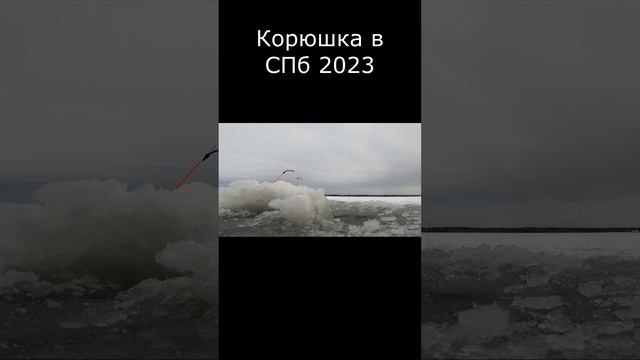 Корюшка в СПб 2023 #shorts #рыбалка2023