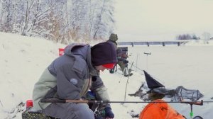 ОТКРЫТИЕ ФИДЕРНОГО СЕЗОНА 2023. Наловили подлещика !