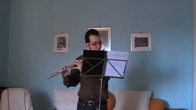 Telemann: Fantasia 6 for solo flute смотреть онлайн