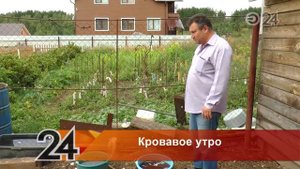 В Казани появиласть чупакабра