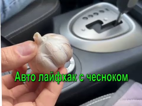 Способ крепкой фиксации автомобильной присоски регистратора при помощи чеснока