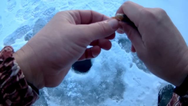 9 кг рыбы с одной лунки.Рыбалка мечта смотреть онлайн