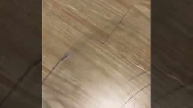Универсальная салфетка Гринвей AQUAMAGIC UJUT