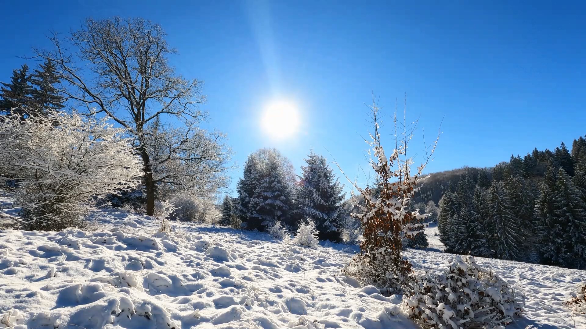 Хорошее зимнее видео. Снег 10000 леса зимой. Sunny Winter.