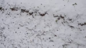 (Tropo)105.7 Russkoye Radio(Volkhov)(Leningrad region)~167km 87 m 0.1 kW(TRP)