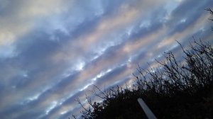 ОХОТА НА ГУСЕЙ!  У БЕЛОГО МОРЯ! ОХОТА В ТУНДРЕ!