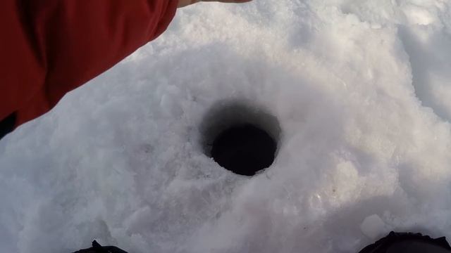 РАЗ В СЕЗОН БЫВАЕТ ТАКОЙ КЛЕВ ЛЕЩА НА УДОЧКУ! ПОПАЛ НА РАЗДАЧУ В ОТТЕПЕЛЬ! смотреть онлайн