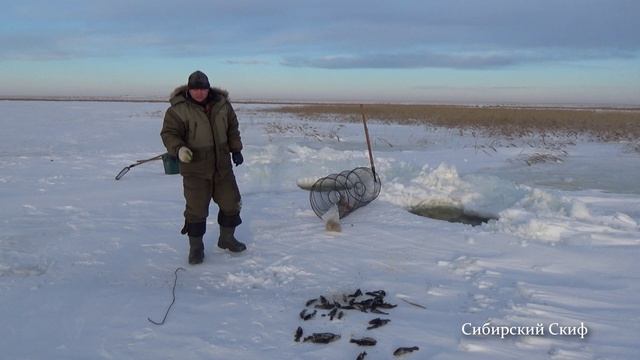 Набомбил рыбы . Морды стояли 6 дней. МАМА не горюй