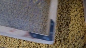 Изготовление пеллетса рыболовного. Корм для УЗВ