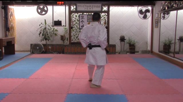 ?Heian Godan PASO a PASO en ESPAÑOL?