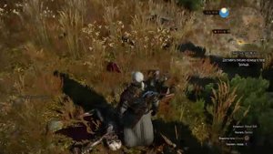 The Witcher 3 письмо для кузнеца в Каер Трольде