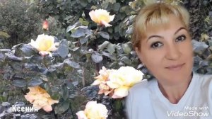 Евгений Путилов-Неприступная