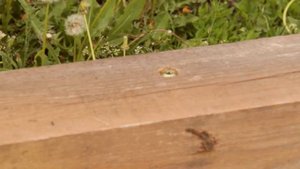 крепление бруса,саморезом 8х220