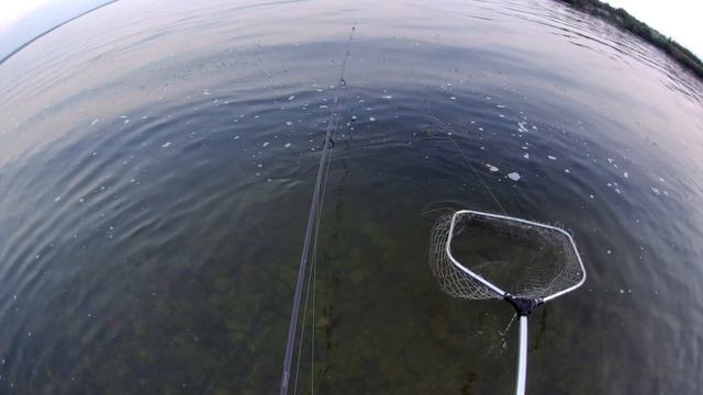 Дикий Карп в Море Каховском смотреть онлайн