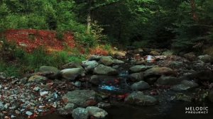 Adexx - Level Down (Original Mix)