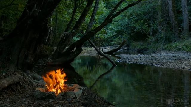 Как правильно сажать виноград черенками? смотреть онлайн