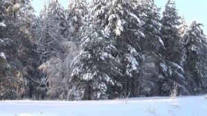 И снова зима.