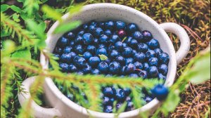 Плюсы Сыроедения