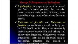 Lecture 2 (3rd course) — Gram-Positive Bacteria — Streptococci. Bacillus.mp4