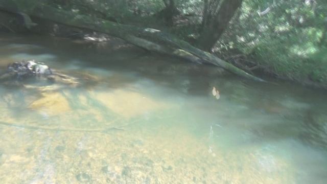 Рыбалка возле Хабаровска