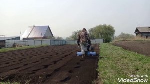 Проба пера. Посадка картофеля мотоблоком с картофелесажалкой.