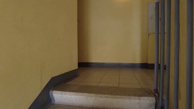 Славянка ( п.Шушары) Обзор с квадрокоптера и видеообзор  Продаваемой в нем квартиры ?
