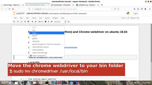 How to set up selenium(python) and Chrome Webdriver on Ubuntu 18.04. chromeorg