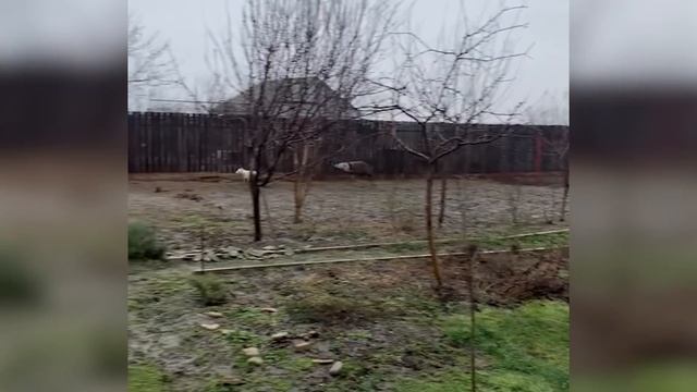 40 НЕВЕРОЯТНЫХ МОМЕНТОВ, СНЯТЫХ НА КАМЕРУ смотреть онлайн