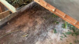 Клетка для кролика своими руками | Обзор | Размеры