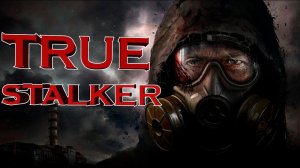 S.T.A.L.K.E.R.: Call of Pripyat + мод True Stalker | Конец убил