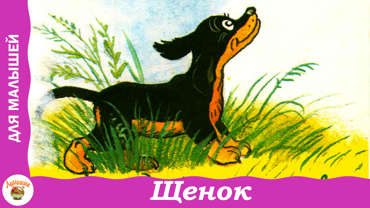 Мой щенок михалков рисунок