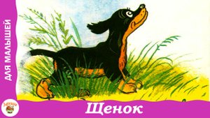 Щенок. Стих Михалкова для детей