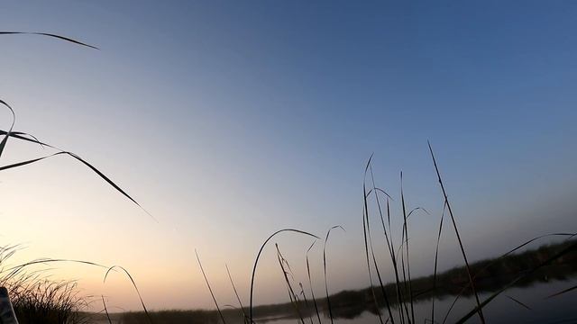 открытие охоты 2021 год смотреть онлайн