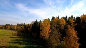 Одна из самых красивых мелодий Сергея Грищука "УХОДЯЩАЯ ОСЕНЬ"