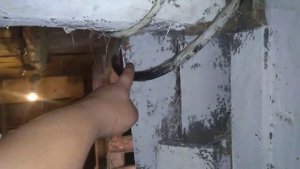 Обработка сарая от мух/ как бороться с мухами в сарае