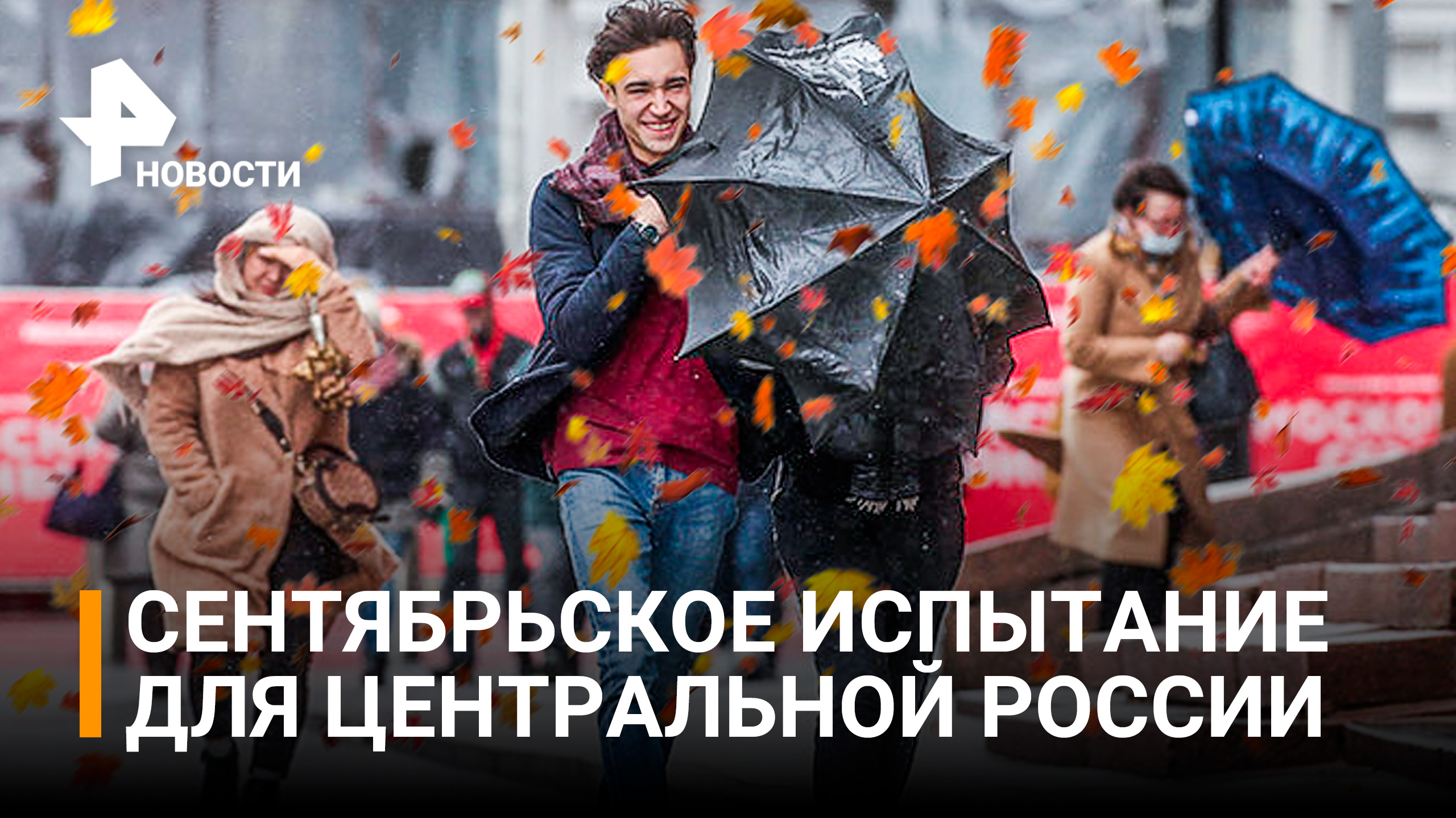 Нырнуть в сентябрь: осень придет в центр России с резким похолоданием / РЕН Новости