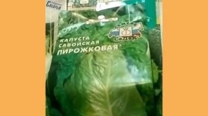 Лучшие сорта капусты для Сибири