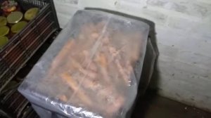 Хороший способ хранения винограда зимой.