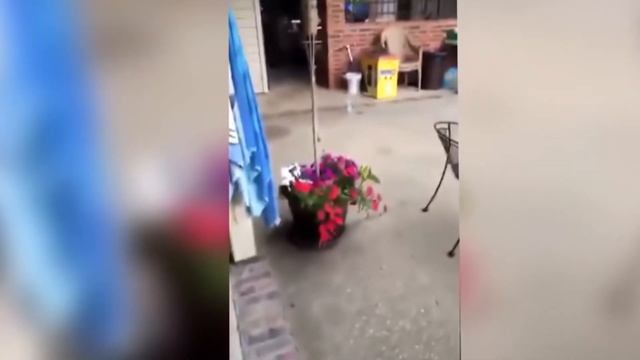 10 САМЫХ ЭПИЧНЫХ БУТЫЛКА ВОДЫ ЧЕЛЛЕНЖ НА YOUTUBE/Water Bottle Flip Challenge смотреть онлайн